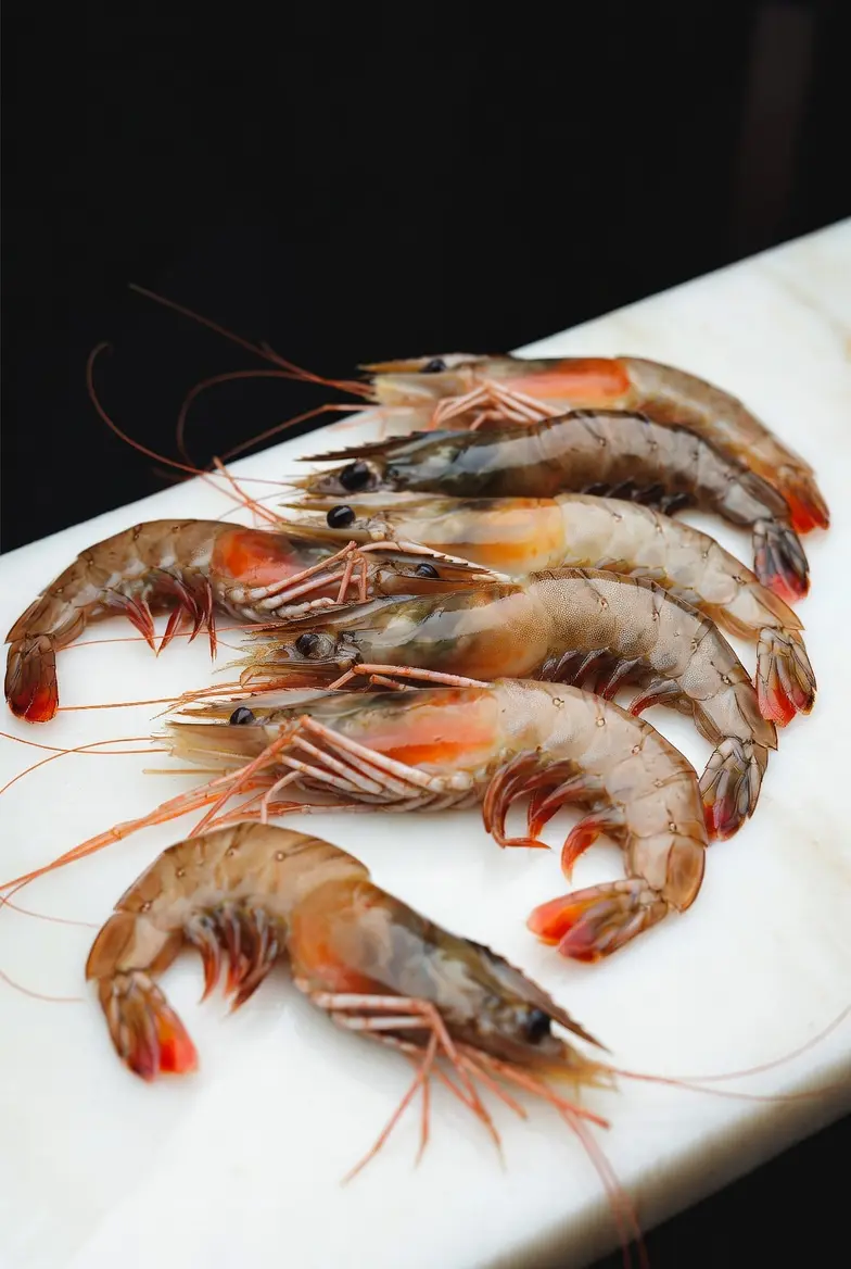 Tiger Prawns